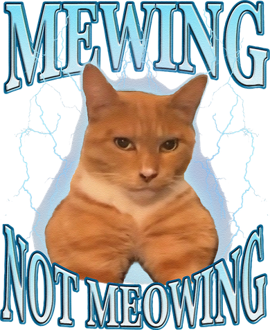 Funny Cat Meme With Meowing Looksmax Meowing Cat Doggie Tank