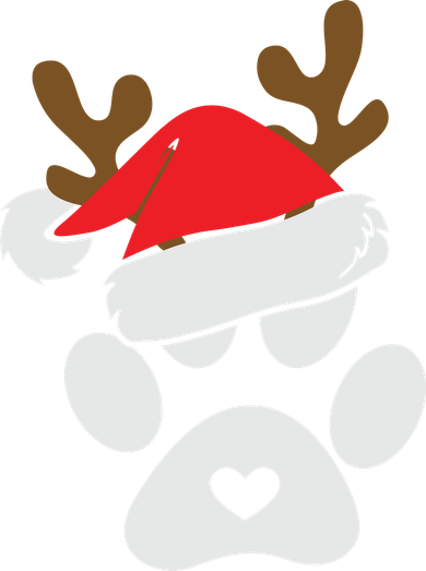 Funny Christmas Paws Santa Hat Horn Dog Xmas Pajama Set
