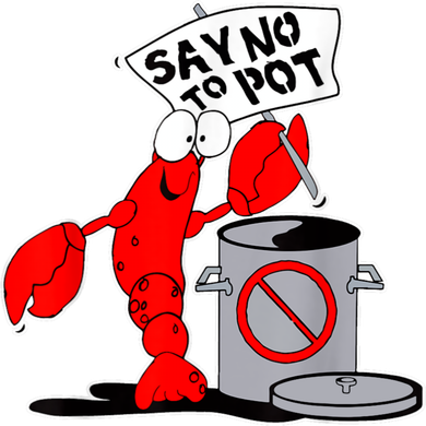 Funny Crawfish Pun Say No To Pot Lobster Festival Crayfish Kids T-Shirt