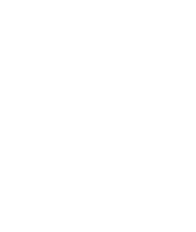 Funny Chicken Rooster Saying Fuck Button