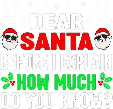 Funny Christmas Shirts Adults Dear Santa I Can Explain Tumbler