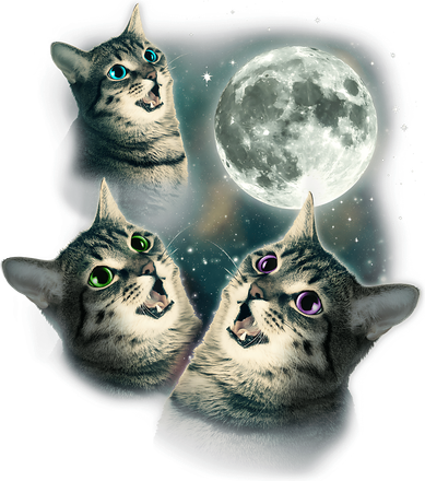 Funny Cat Three Cat Moon 3 Wolfs Cute Kitten Graphic Kids Long Sleeve Shirt