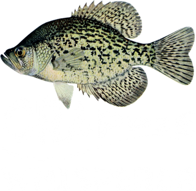 Funny Crappie Whisperer Fishing Black Crappie Lake Fish Gift Women's T-Shirt