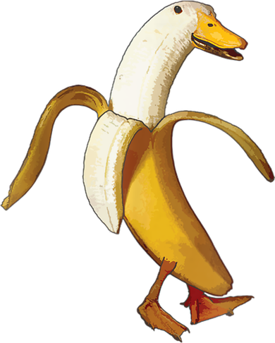 Funny Duck Banana Farm Animal Lover Hat