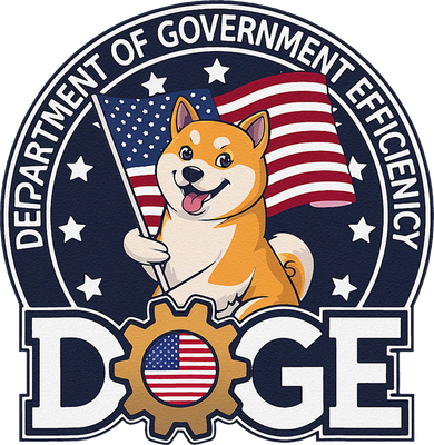Funny Doge Crypto Meme Department Of Government Efficiency Beanie