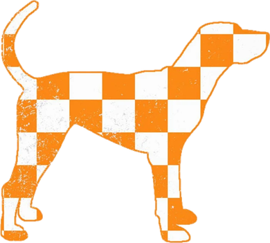 Funny Dog Crossword Tennessee Sport Gameday Winner Tennessee Football Champion Beanie