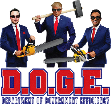 Funny D.O.G.E. (Department Of Government Efficiency) Doge Gift Santa Hat