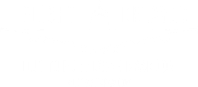 Flight Delayed Due To Hurricane Brandon #LetsGoBrandon Button