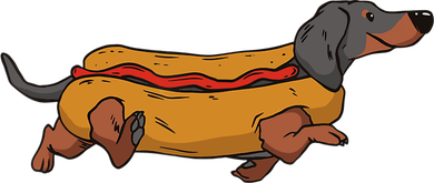 Funny Dachshund In Bun Weiner Hot Dog Cute Foodie Pun Women's T-Shirt