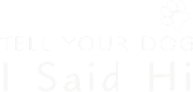 Funny Dog Lover Tell Your Dog I Said Hi! Kids Hoodie