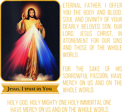 Funny Divine Mercy Jesus Image Chaplet Novena Prayer Catholic Women's T-Shirt