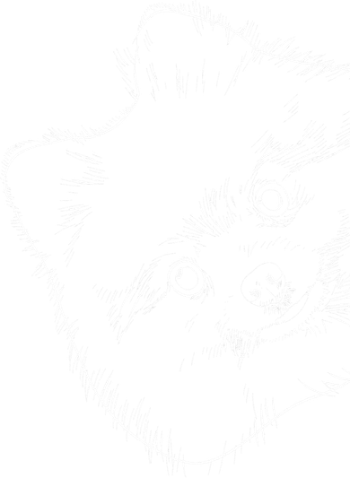 Funny Dog Pomeranian Hat