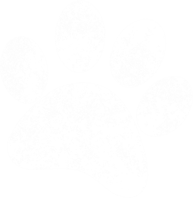 Funny Dog Paw Print Gift Vintage Dog Paw Gift Women's Tank Top