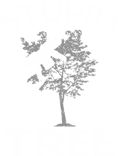 Funny Drones Stupid Tree Rc Drone Pilot Quadcopter Fpv Ornament