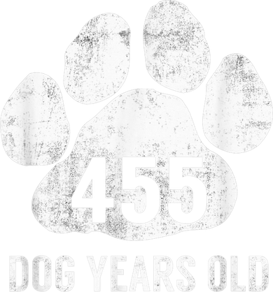 Funny Dog Years Old Vintage 65th Birthday Gag Gift Toddler Hoodie