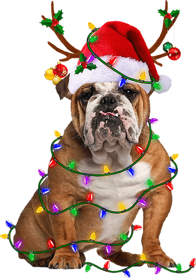 Funny English Bulldog Dog Tree Christmas Lights Xmas Pajama Toddler Hoodie