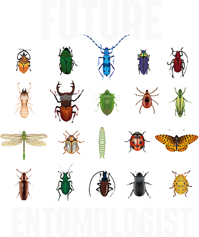 Future Entomologist Entomology Insect Lover Bug Collector Women's T-Shirt