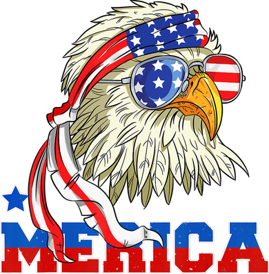 Funny Eagle Mullet Sunglasses Merica 4th Of July USA American Flag Toddler Hoodie