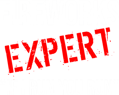Fireworks Expert If I Run You Run Funny 4th of July Women's Long Sleeve Shirt