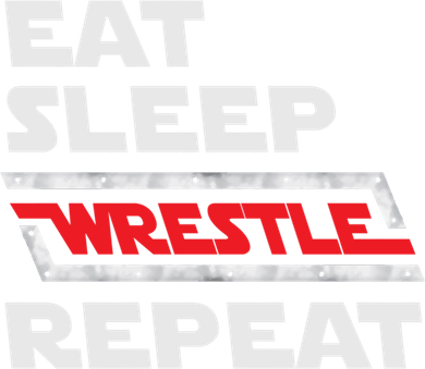 Funny Eat Sleep Wrestle Repeat Wrestling Gift Gift Women's Long Sleeve Shirt