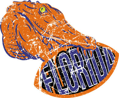 Florida FL Football Fans Gator State Vintage Distressed Ornament