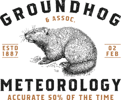 Funny Groundhog Day Shirts Groundhog Meteorology Coaster