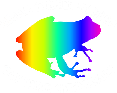 Obama Turned My Frog Gay With Chemicals Rainbow Pajama Set