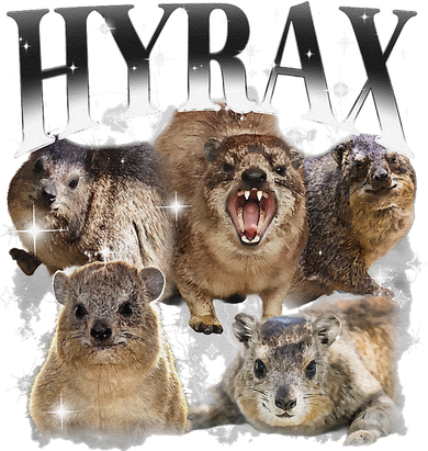Funny Hyrax Oddly Specific Meme Animal For Family Women's T-Shirt