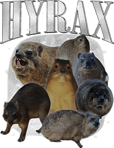 Funny Hyrax Oddly Specific Meme Animal For Family Women's T-Shirt