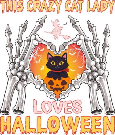 Funny Halloween This Crazy Cat Lady Loves Halloween Kids Sweatshirt