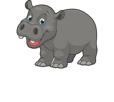 Fiona The Baby Hippo Feeling Hip Preemie Women's Long Sleeve Shirt