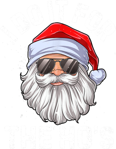 Funny Inappropriate Christmas Santa I Do It For The Hos Cute Gift Women's Hoodie