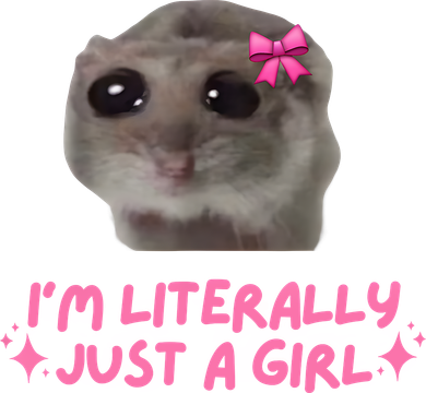 Funny IM Literally Just A Girl Sad Hamster Meme Kids Hoodie