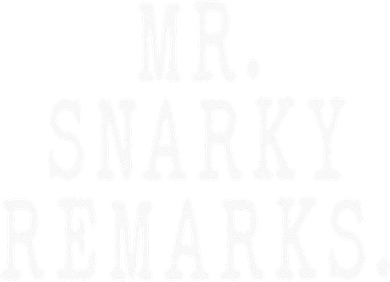 Funny Jokes Sarcastic Mr Snarky Remarks For Dad Doddie Hoodie