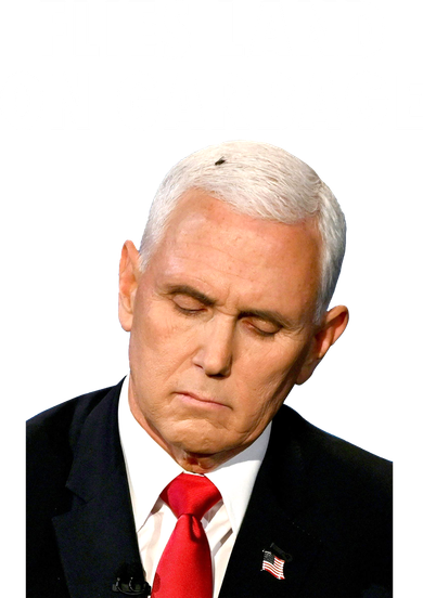 Flies Land On Garbage Mike Pence Debate Fly Coffee Mug