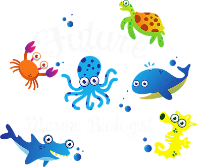 Future Marine Biologist Job Ocean Animal Lover Whale Turtle Button