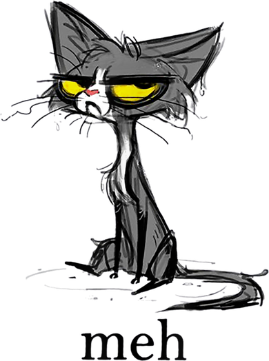 Funny Meh Cat Gift For Cat Lovers Kids Hoodie