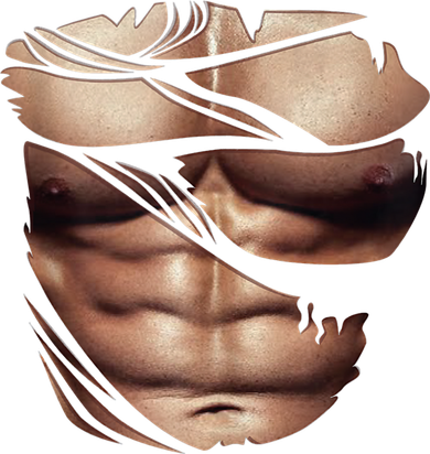 Fake Muscles Six Pack Abs Ripped Chest Fake Bodybuilding Doggie Tank