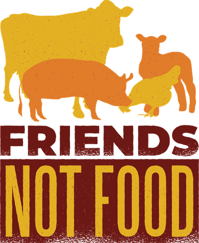 Friends Not Food Coaster