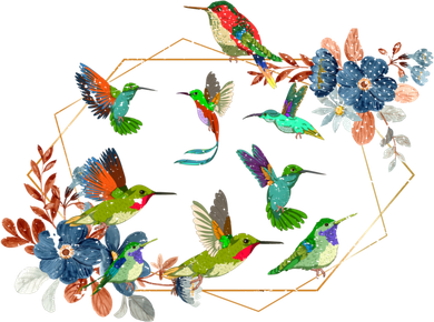 Floral Nature Hummingbird Lover Vintage Flowers Hummingbird Gift Tumbler