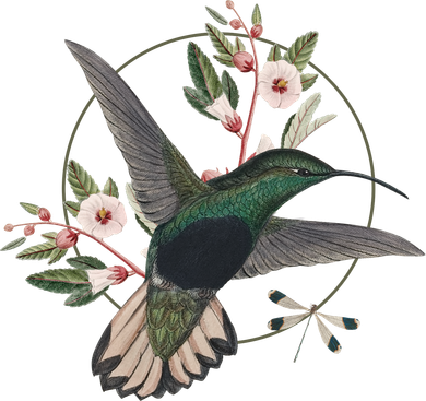 Floral Nature Hummingbird Coaster