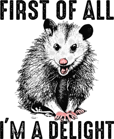 First Of All IM A Delight Opossum Lover Matching Toddler T-Shirt