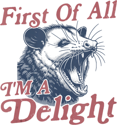 First Of All IM A Delight Funny Angry Opossum Possum Kids Sweatshirt