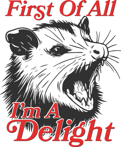 Funny Opossum First Of All Im A Delight Women's Hoodie