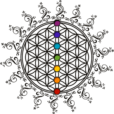 Flower Of Life Sacred Geometry Yoga Chakras Meditation Bucket Hat