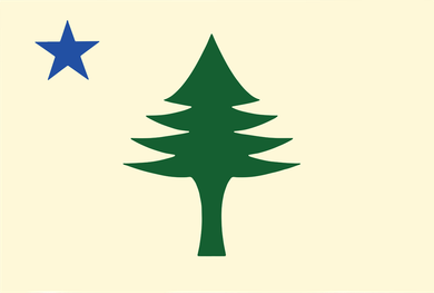 Flag Of Maine 1901 Maine State Flag Pine Tree State Kids T-Shirt