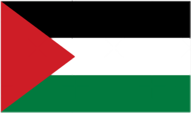 Flag Of Palestine Golf Towel