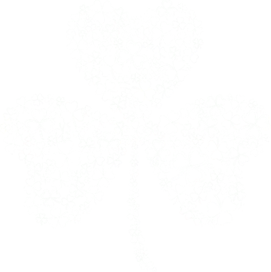 Family Of Shamrocks Cloverleaf Coaster