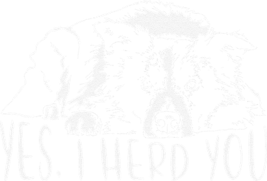 Funny Proud Border Collie I Herd You Herder Gift Dog Saying Kids Hoodie