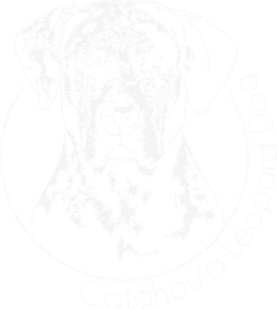 Funny Proud Catahoula Leopard Dog Portrait Gift Present Toddler Long Sleeve